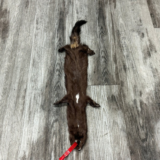 Dressed skin - Mink #0001184