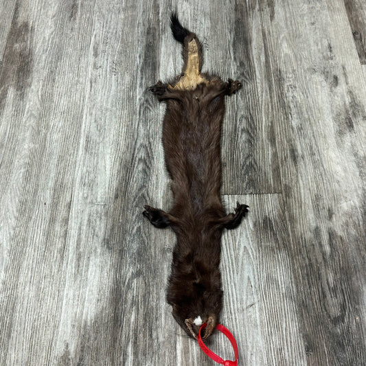 Dressed skin - Mink #0001185