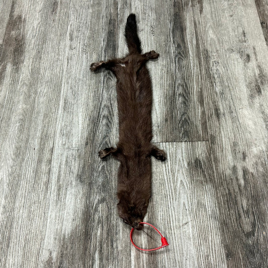 Dressed skin- Mink #0001186