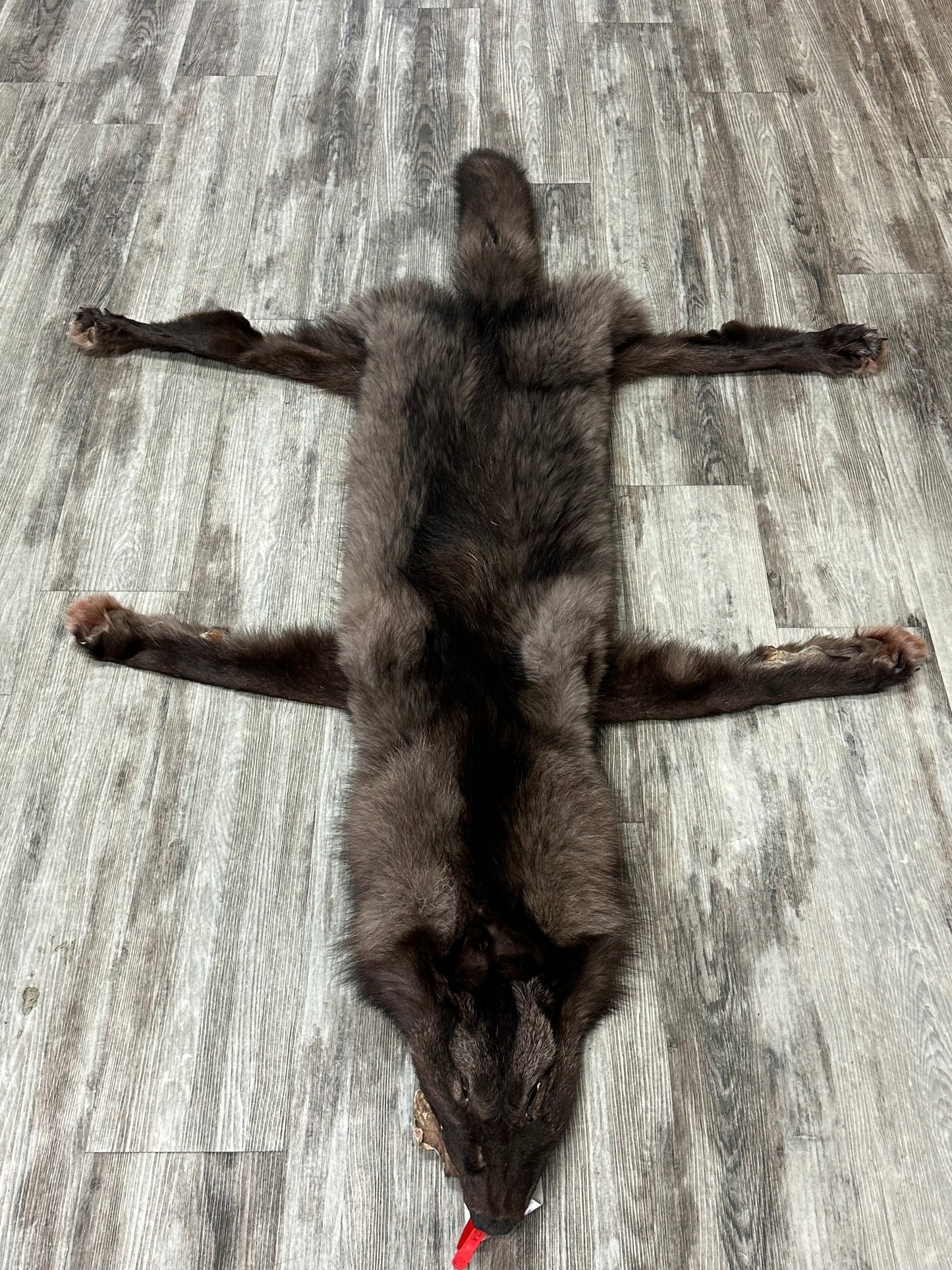 Dressed skin - Black wolf #0001231