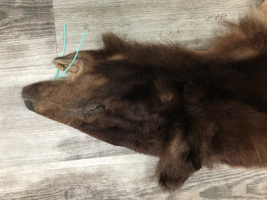 DRESSED SKINS - CINNAMON BEAR #03713