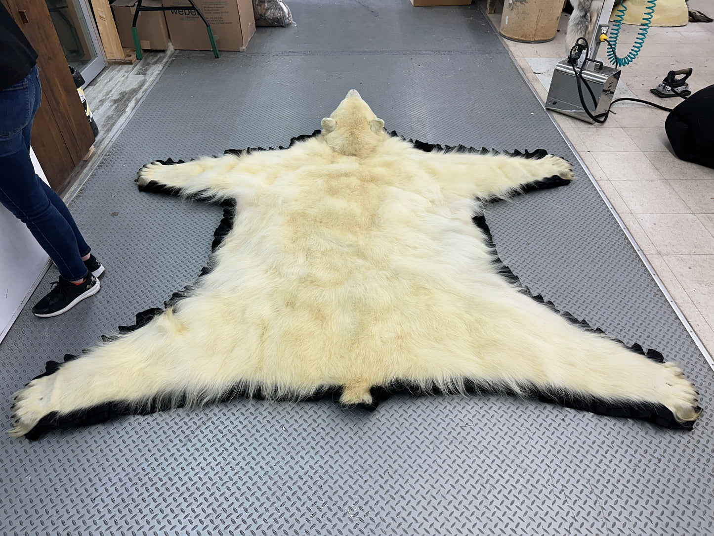 Rugs - Polar Bear #38189