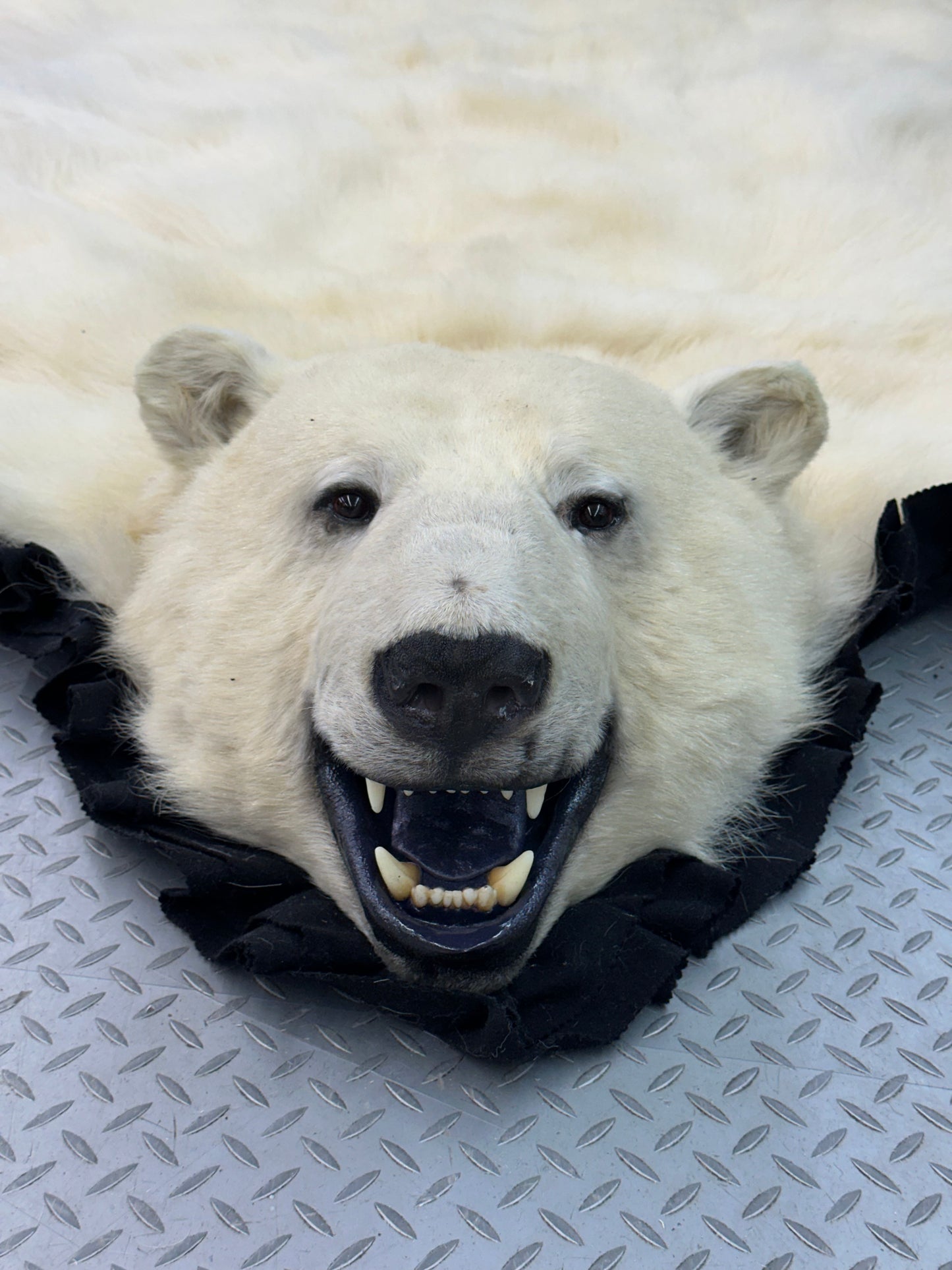 Rugs - Polar Bear #38189