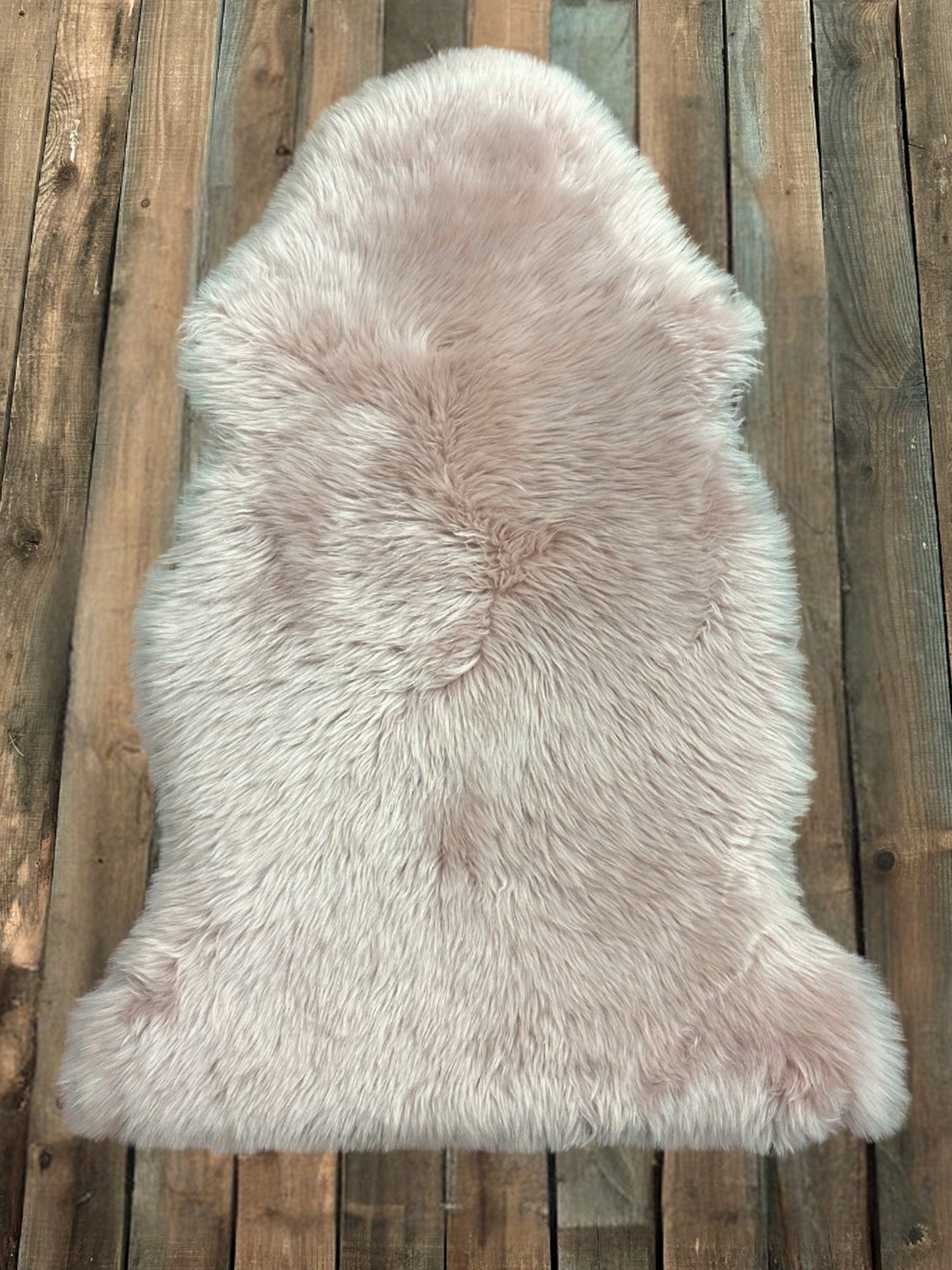 Sheep Pelt