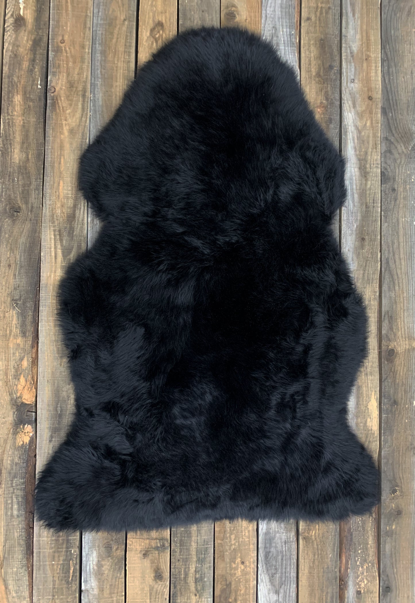 Sheep Pelt