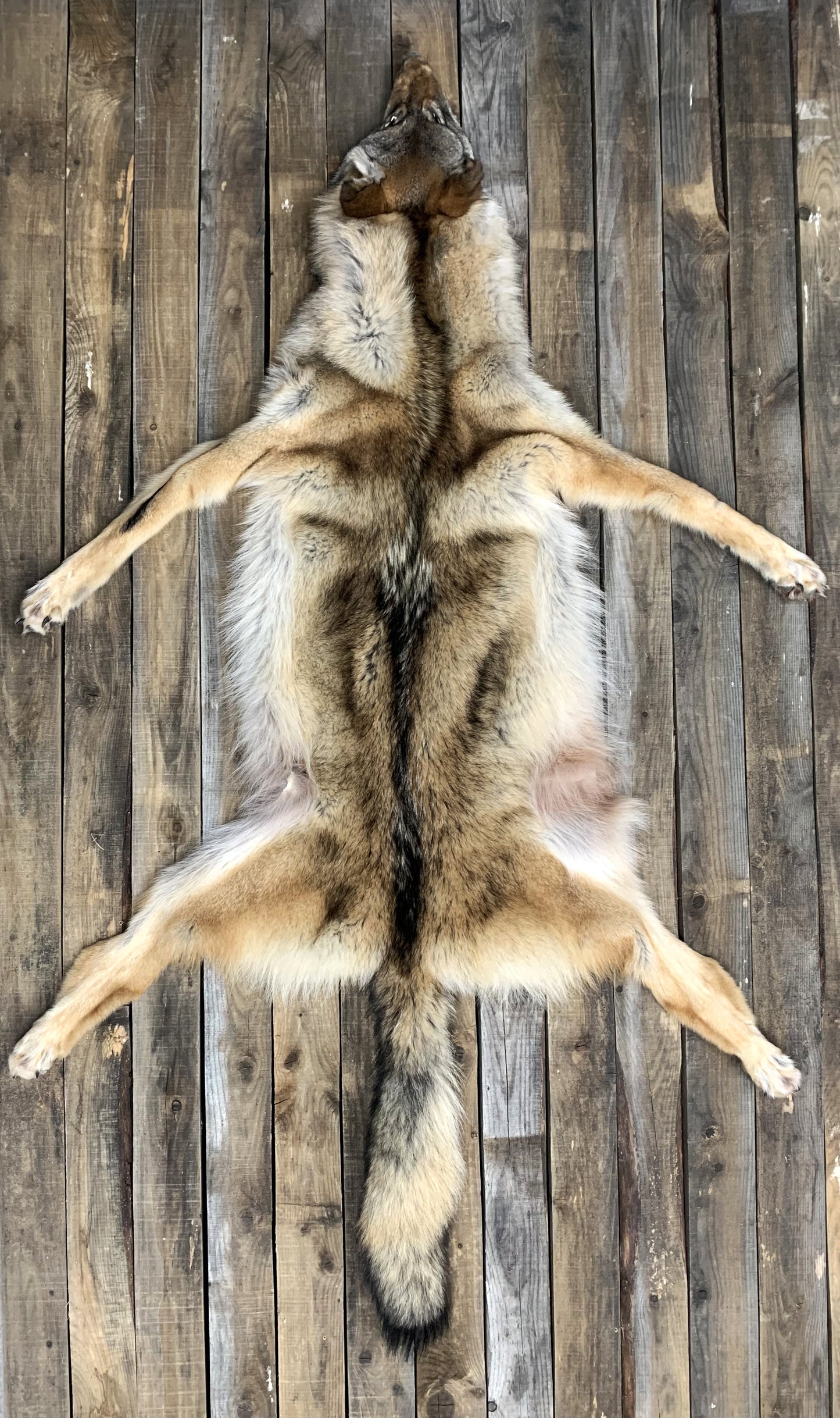 Wolf Pelt