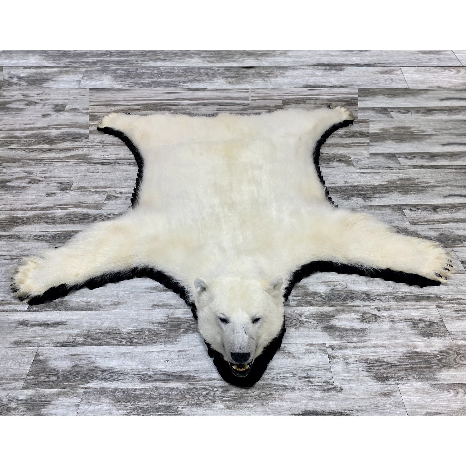 Tapis Equitation Tapis De Selle Rhinegold Wave - Unisexe - Coton Et Tapis Equitation Tapis De Selle Rhinegold Wave - Unisexe - Coton Et