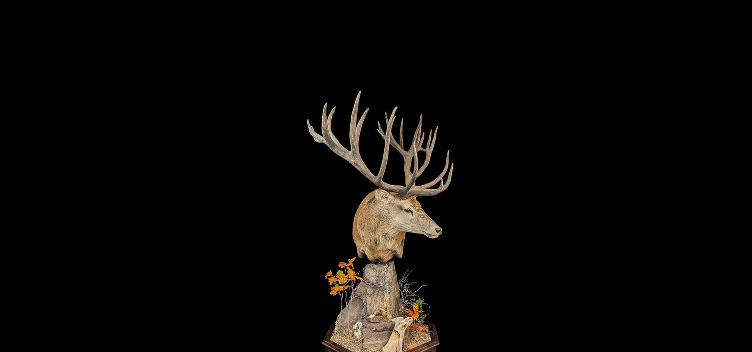 CERF