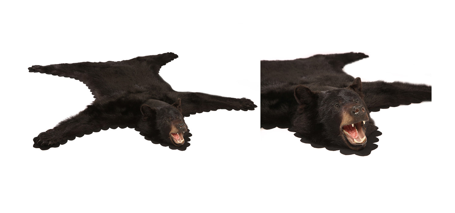Tapis Ours Noir