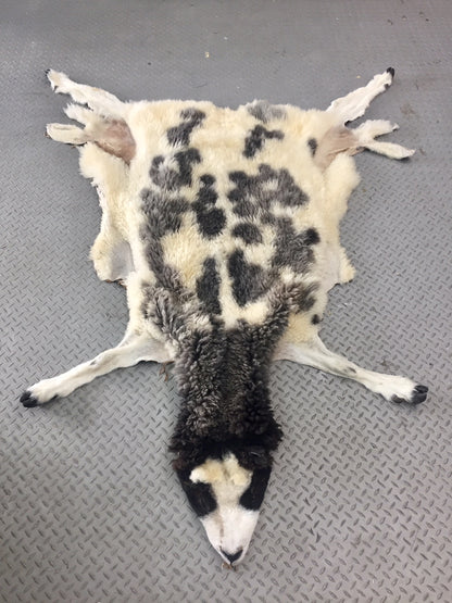 Dressed Skin - Jacob Sheep #0000103