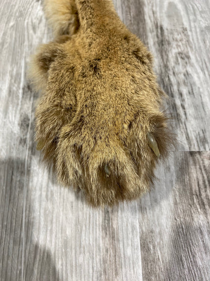 Peau - Cougar #0000482