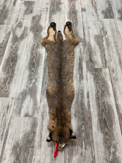 Dressed Skin - Bobcat #0000755