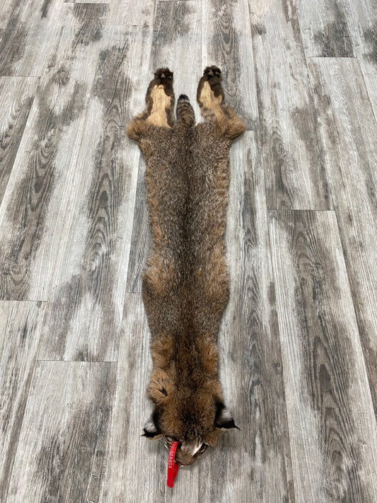 Peau - Bobcat #0000755