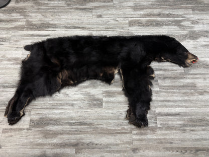 Peau - Ours noir #0001163