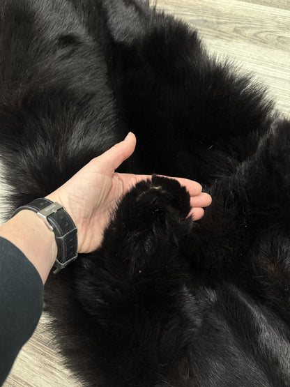 Peau - Ours noir #0001163