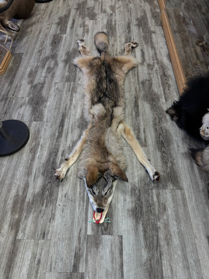 Peau - Loup des bois #0001192