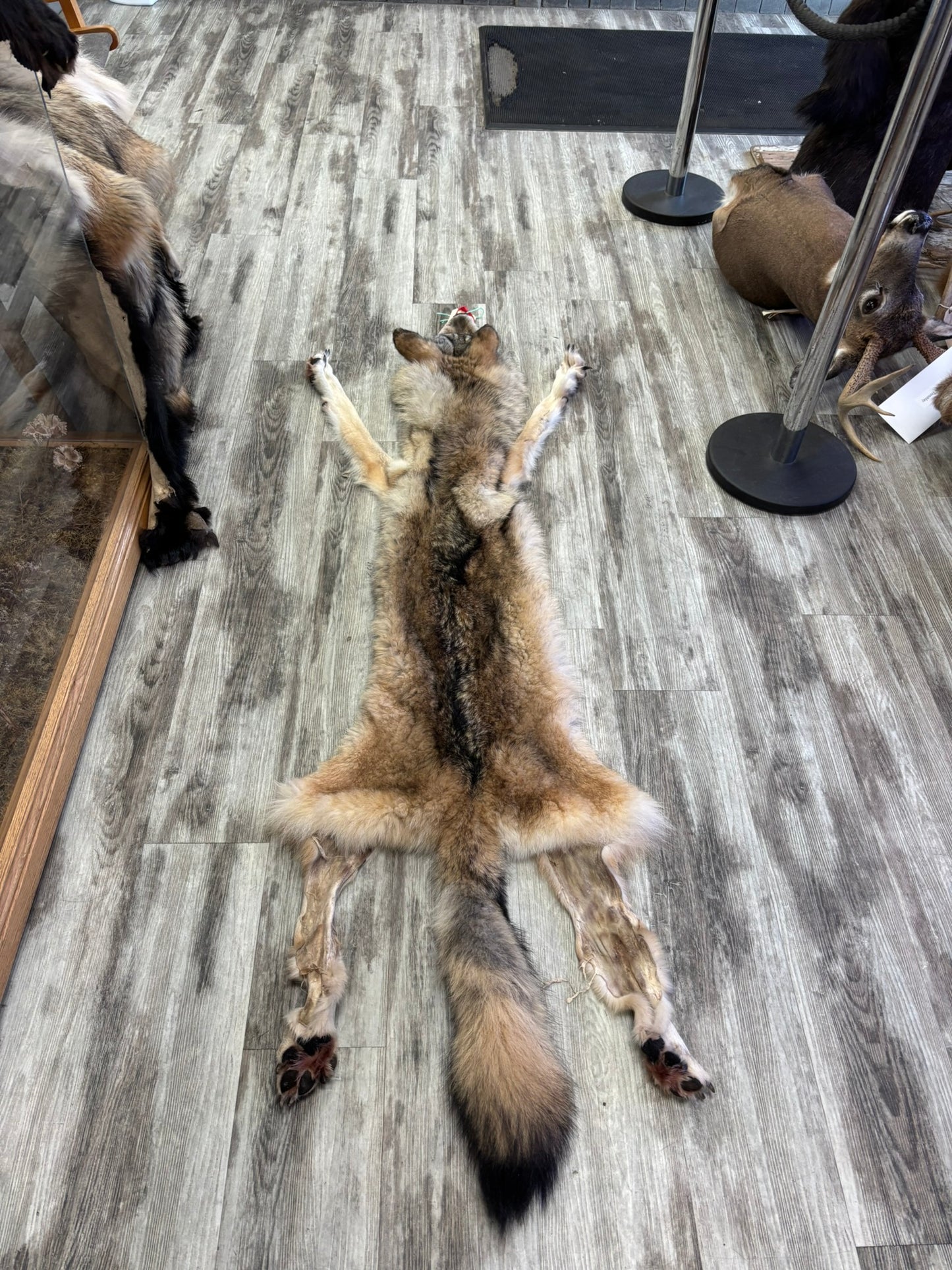 Peau - Loup des bois #0001192