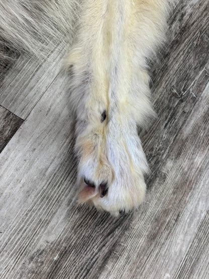 Peau - Loup Arctique #0001418