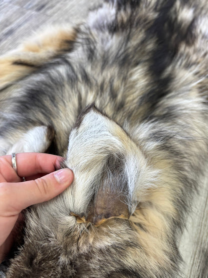 Peau - Loup Arctique #0001419