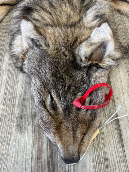 Peau - Loup Arctique #0001419