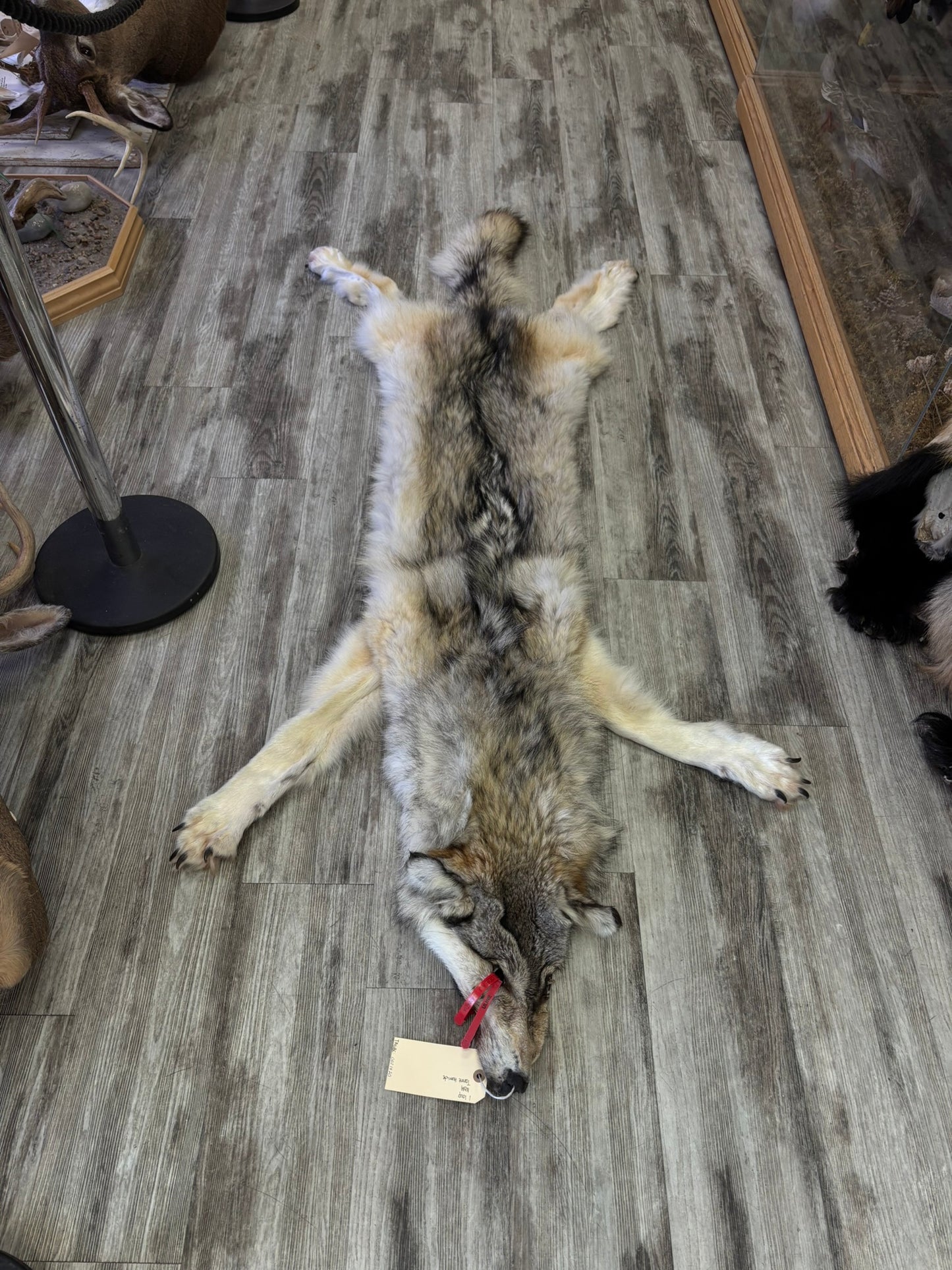 Peau - Loup Arctique #0001420