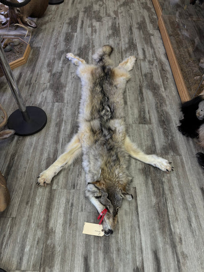 Peau - Loup Arctique #0001420