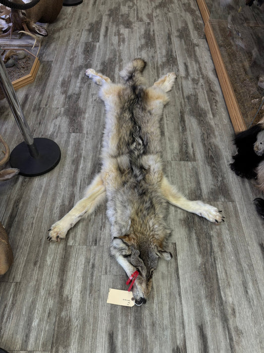 Peau - Loup Arctique #0001420