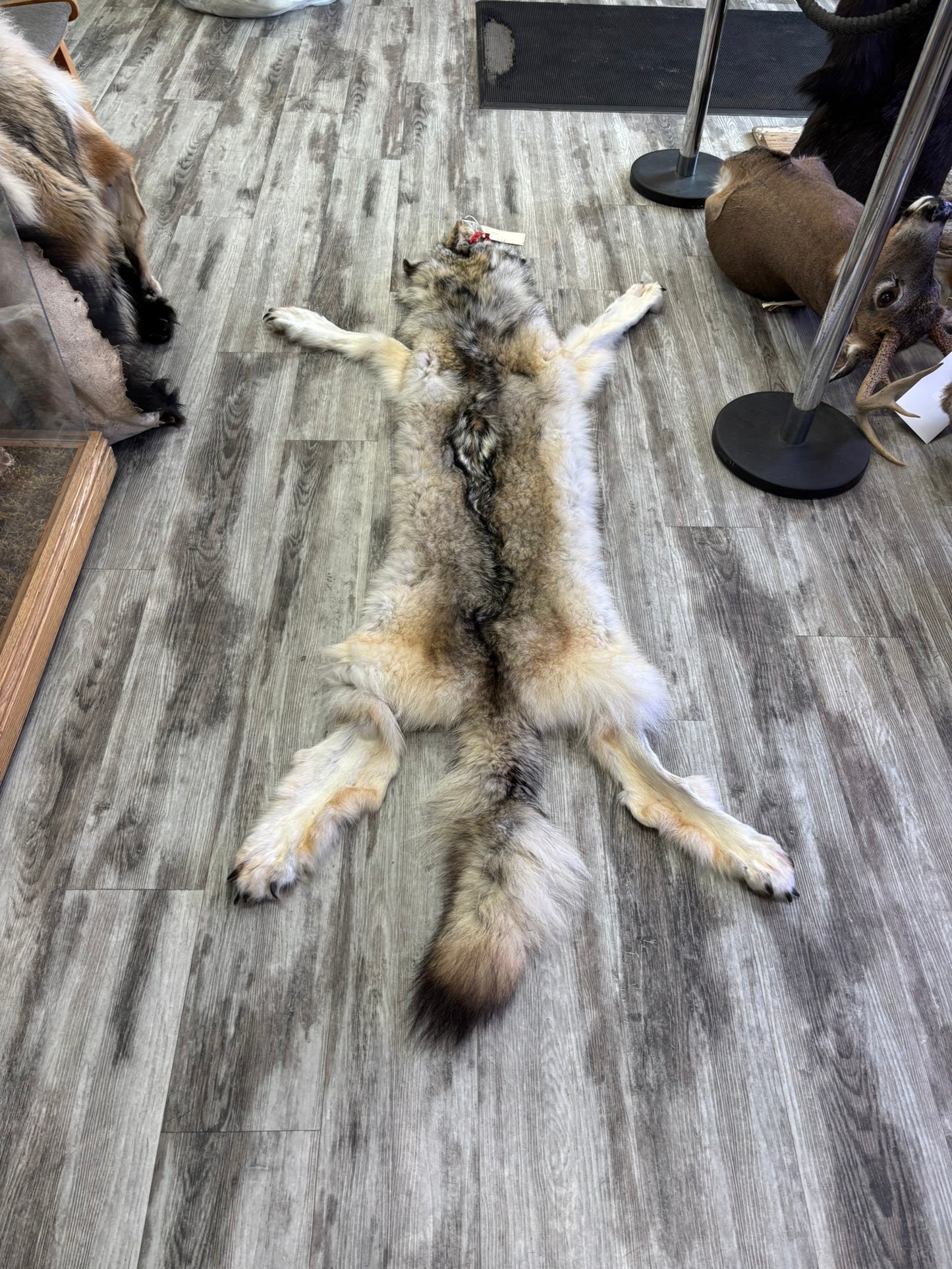 Peau - Loup Arctique #0001420