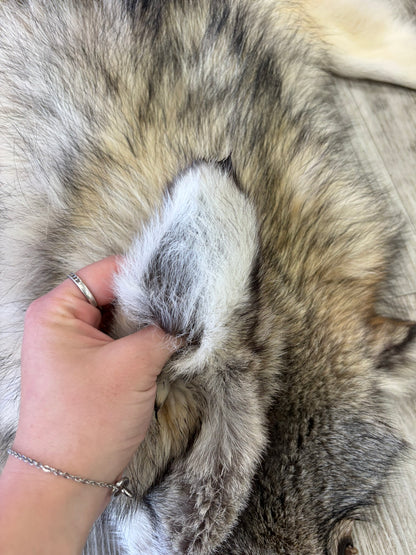 Peau - Loup Arctique #0001420