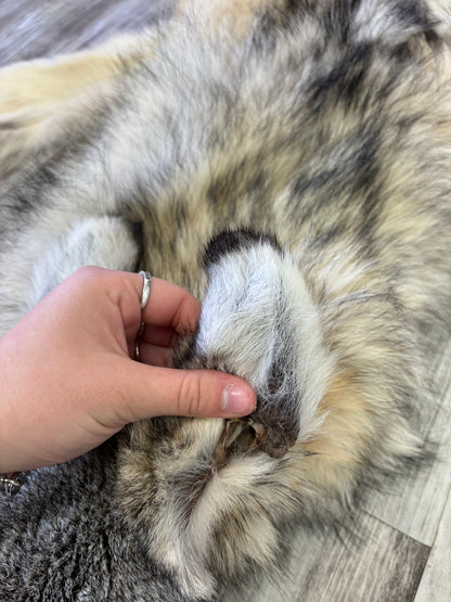 Peau - Loup Arctique #0001420