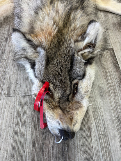 Peau - Loup Arctique #0001420