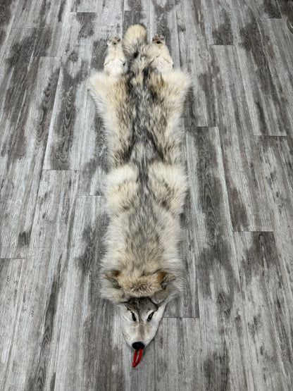Peau - Loup Arctique #0001434