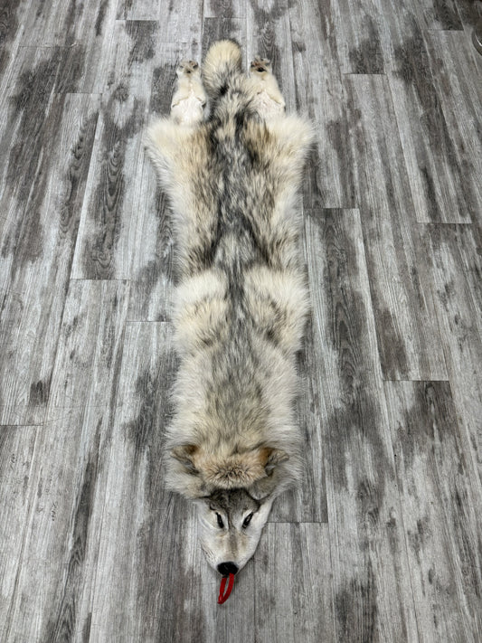 Peau - Loup Arctique #0001434