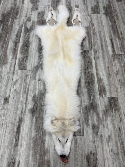 Peau - Loup Arctique #0001460