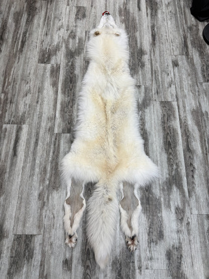 Peau - Loup Arctique #0001460