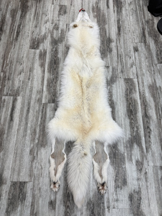 Peau - Loup Arctique #0001460