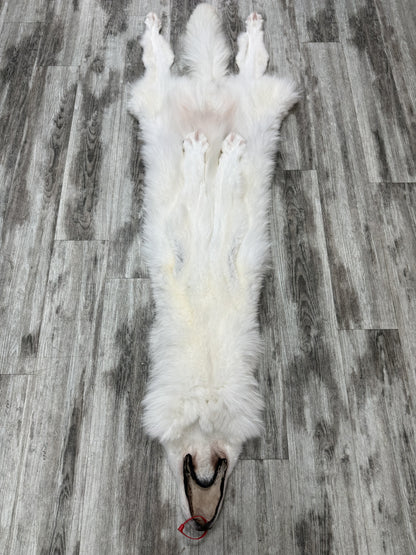 Peau - Loup Arctique #0001460