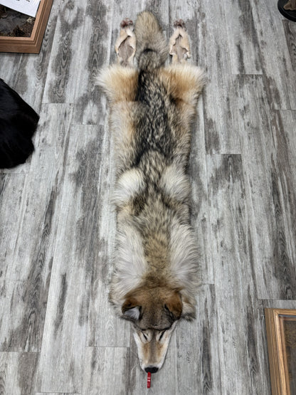 Peau - Loup Arctique #0001488