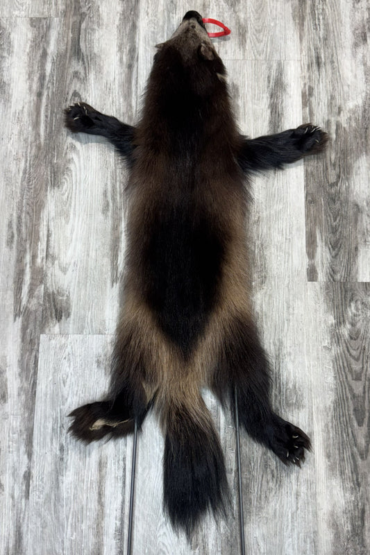 Wolverine