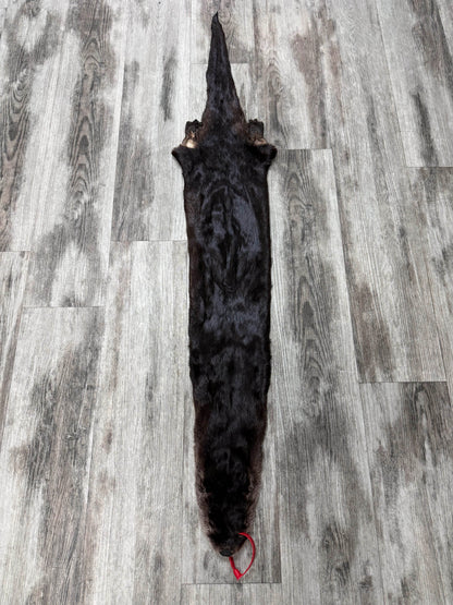 Peau - Loutre #0001527