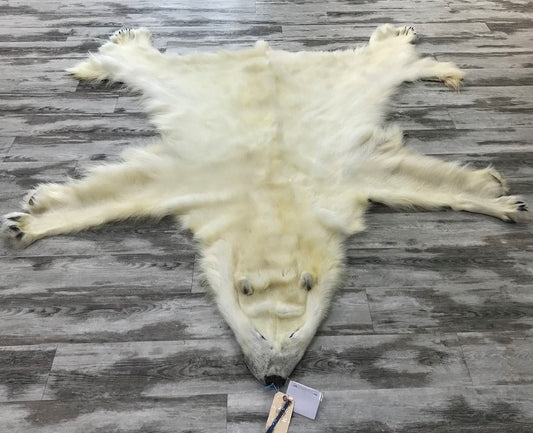 Peau - Ours Polaire #0070 (18/19)