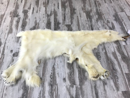 Dressed Skin - Polar Bear #0070 (18/19)