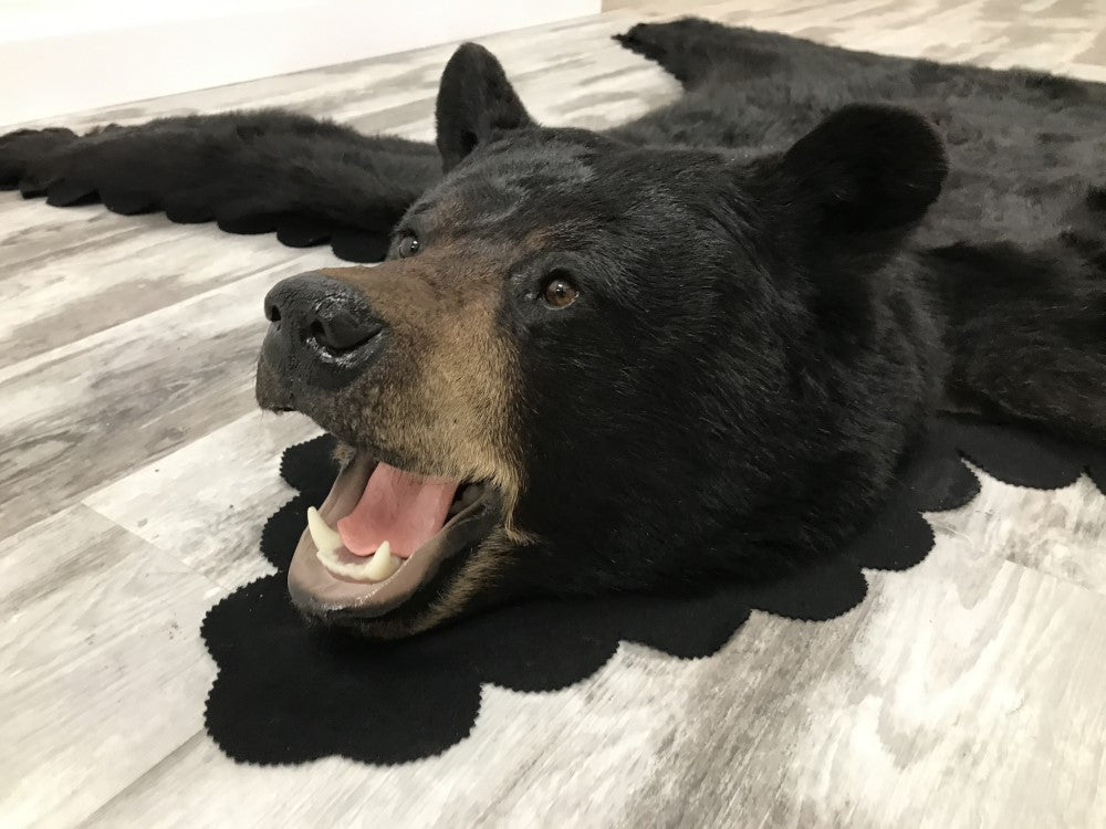 Black Bear rug - #01600