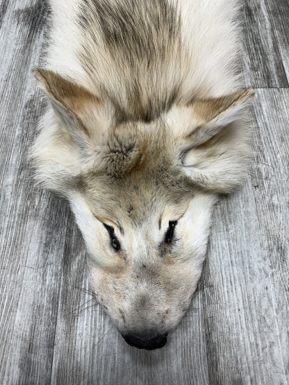 Peau - Loup Arctique #07110-6