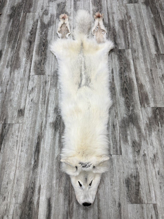 Peau - Loup Arctique #07710-14