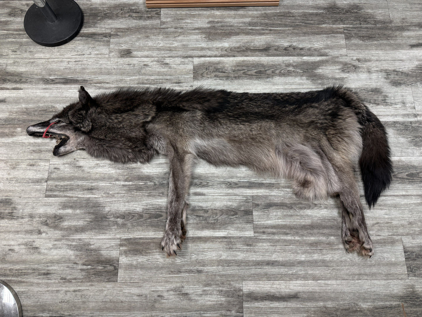 Peau - Loup Noir #19468754