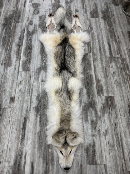 Peau - Loup Arctique #855903