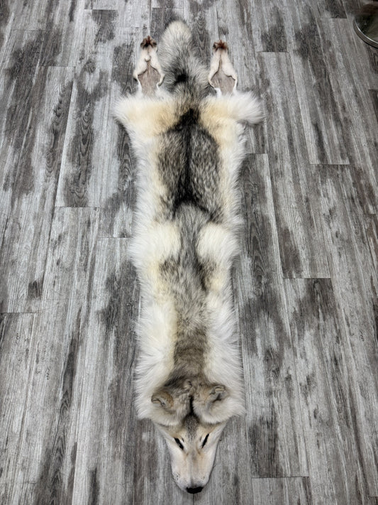 Peau - Loup Arctique #855903