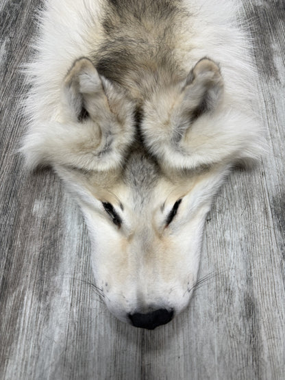 Peau - Loup Arctique #855903