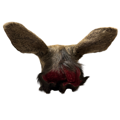 Shoulder Mounts - Moose head #1